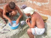 «Взятие» крокодила