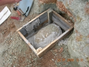 Гипсовый пирог с костями динозавров