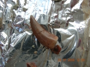 Зуб хищного динозавра