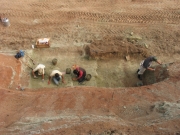 Они копают динозавров