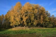 Местонахождение Луговское (Ханты-Мансийский р-н, ХМАО – Югра) 2007 год