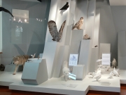 Некий текст